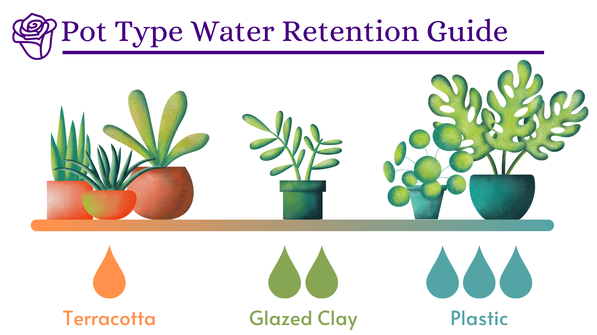 Picking the Right Pot for Your Houseplant